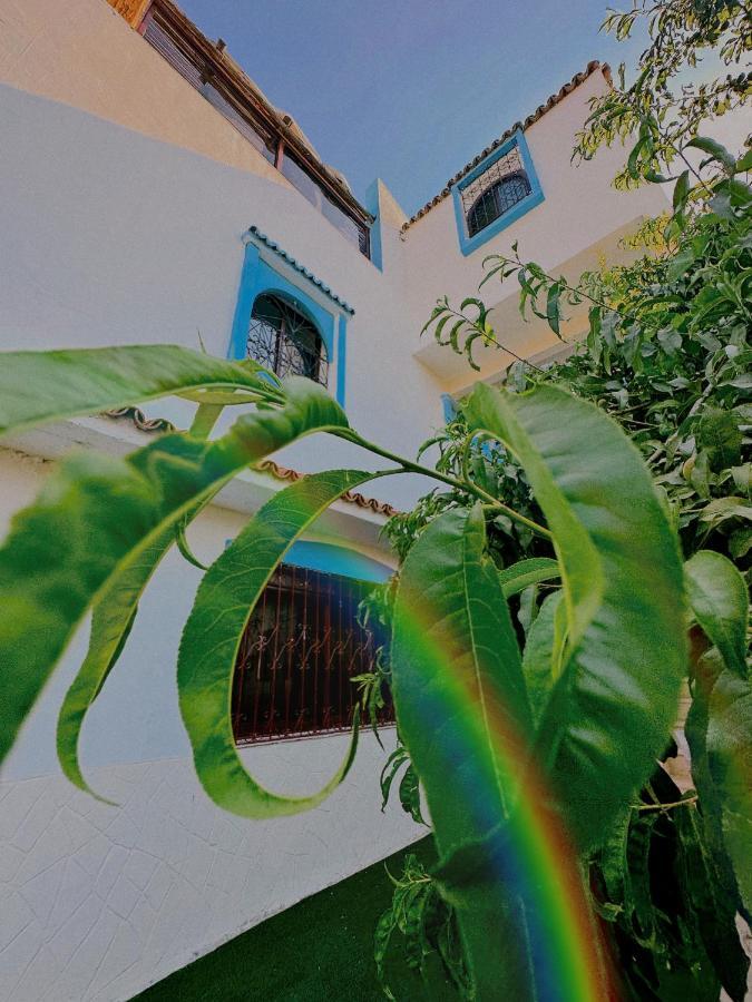 Auberge Dalia Chefchaouen Exterior photo